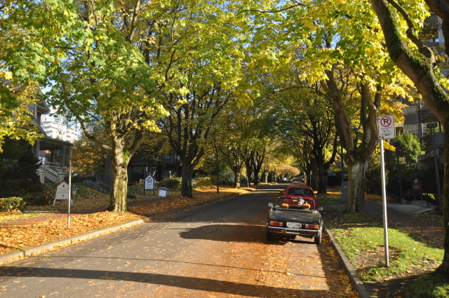 Vancouver West End - tree lined street