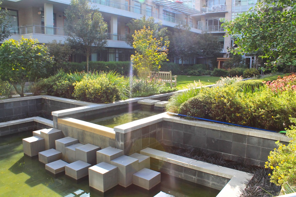 Waterfeature Garden